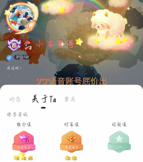 tt语音官网入口,tt语音官网入口,账号购买