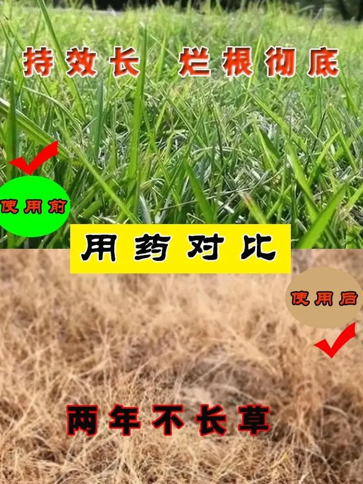 甲嘧磺隆10%和75%的哪个好的简单介绍