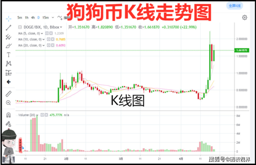 狗狗币价格,狗狗币价格走势图