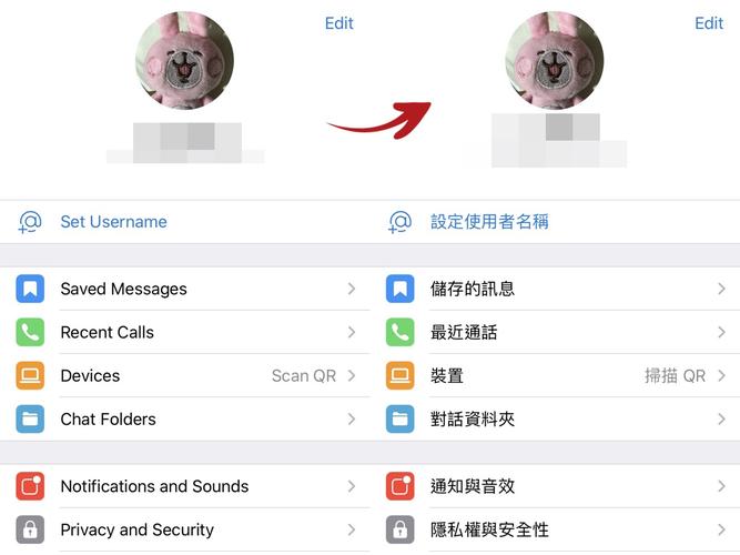 telegraphx官网版下载,telegreat中文版下载官网