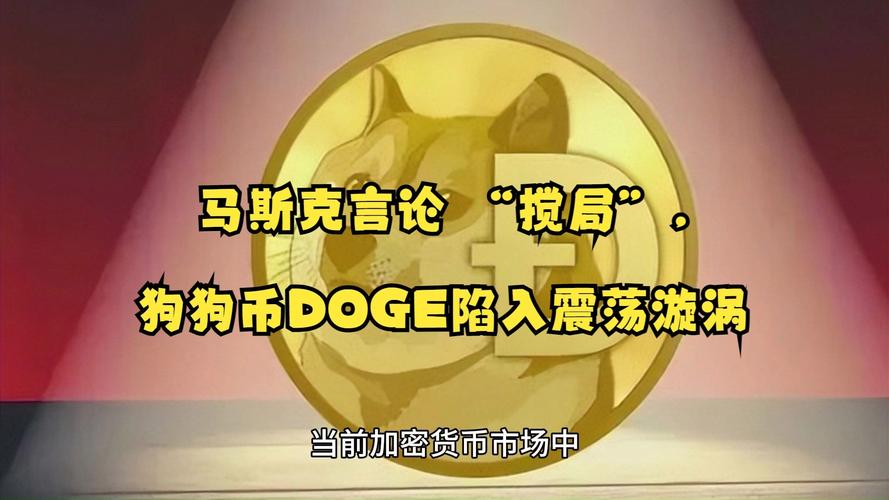 狗狗币和马斯克的关系,马斯克提醒狗狗币有风险