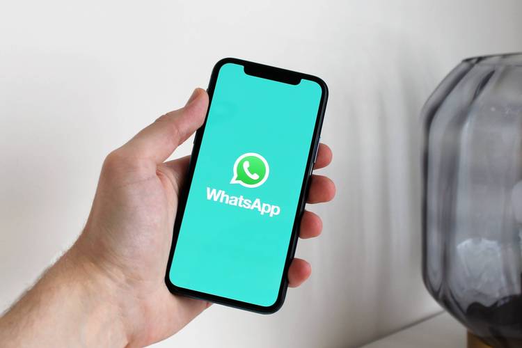 whatsapp2025,whatsapp2025官方下载最新版本
