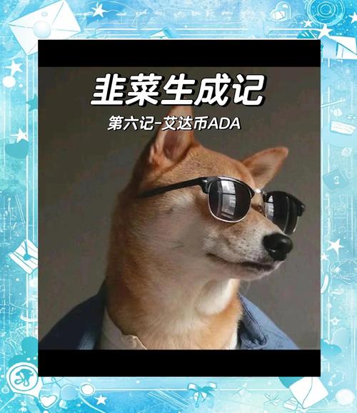 卡尔达诺货币,卡尔达诺教你学概率