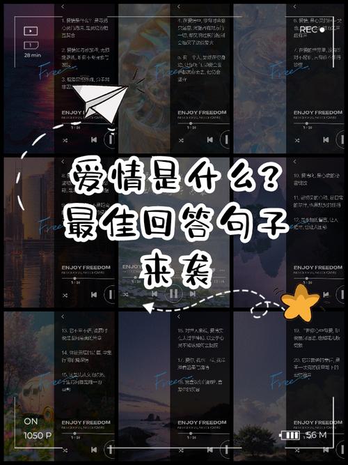 什么是爱精辟回答,什么是爱精辟回答的句子