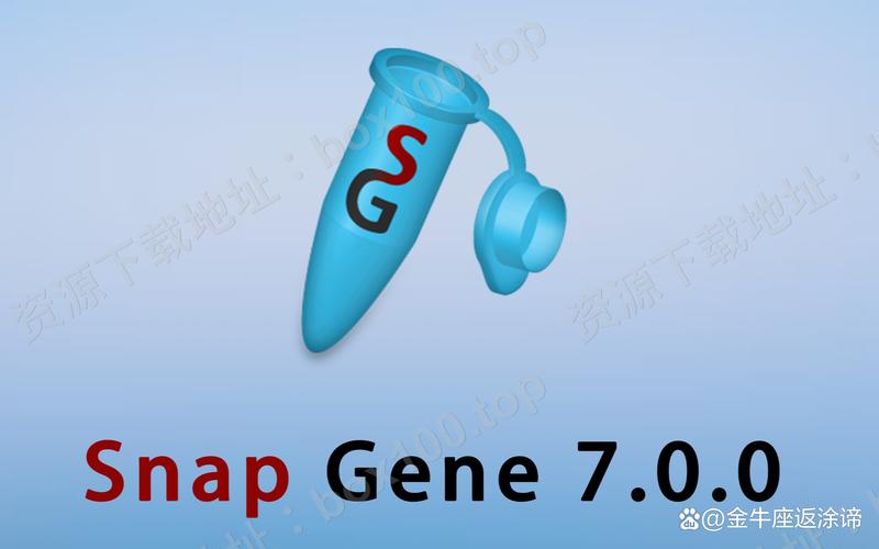 snapany官网,snapany官网中国