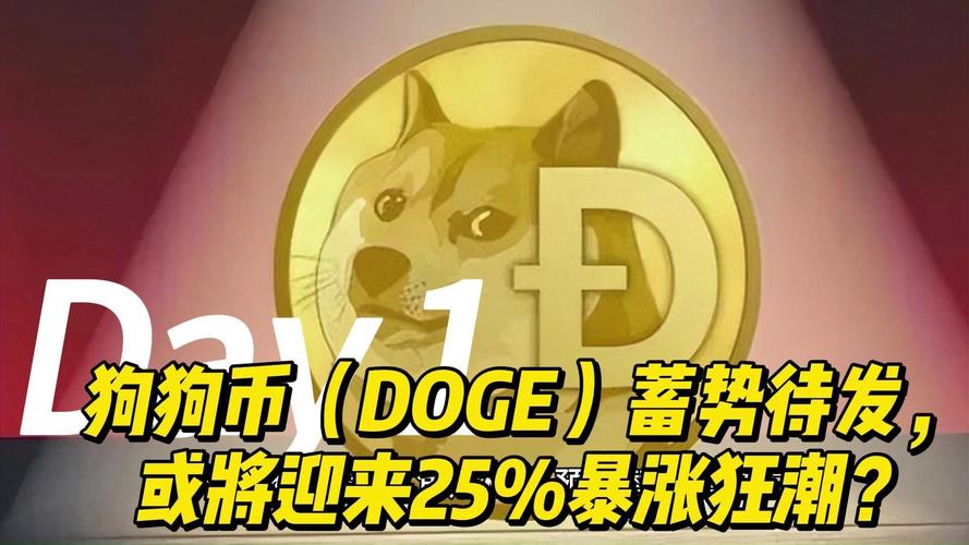 狗狗币结束了吗,狗狗币还有升值空间吗