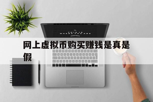 网上虚拟币购买赚钱是真是假、网上虚拟币购买赚钱是真是假啊